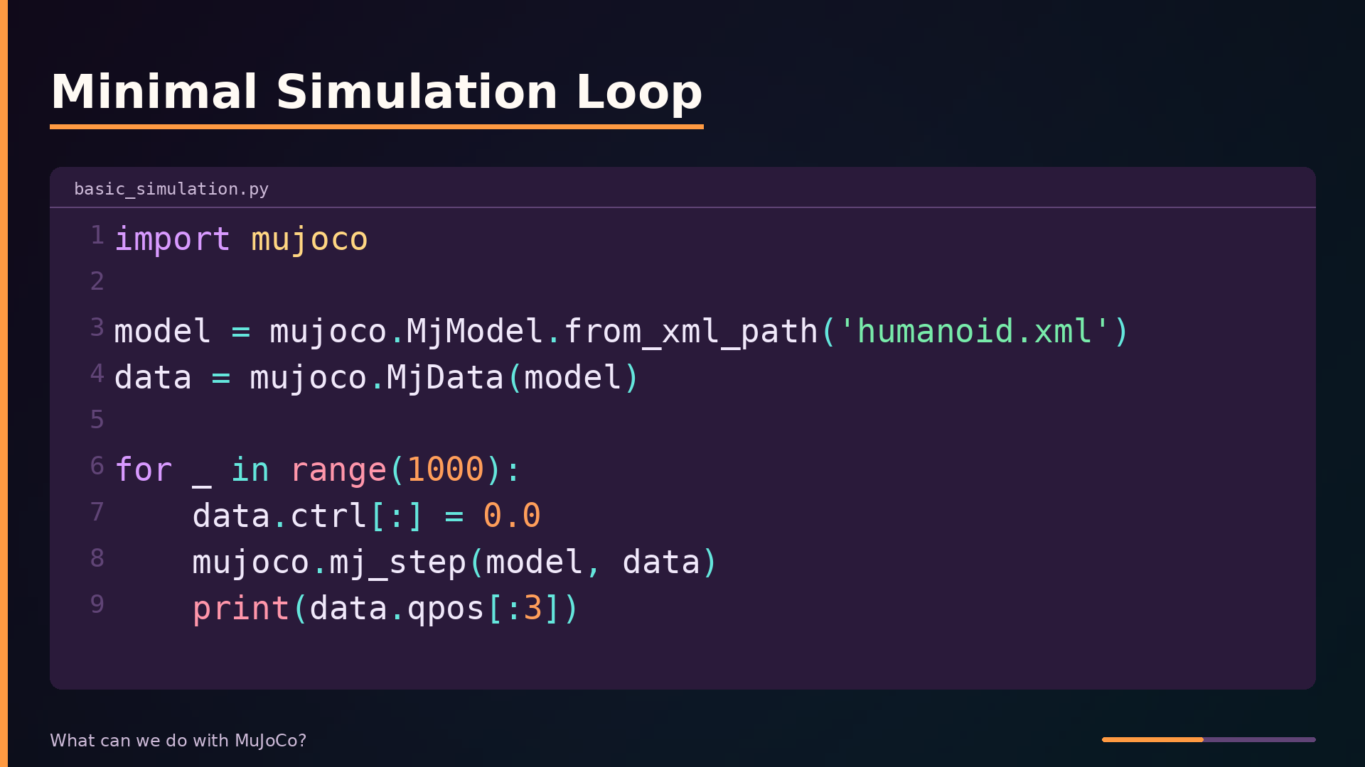 Minimal Simulation Loop
